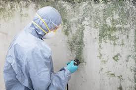 Best Mold Remediation for Healthcare Facilities  in , NJ